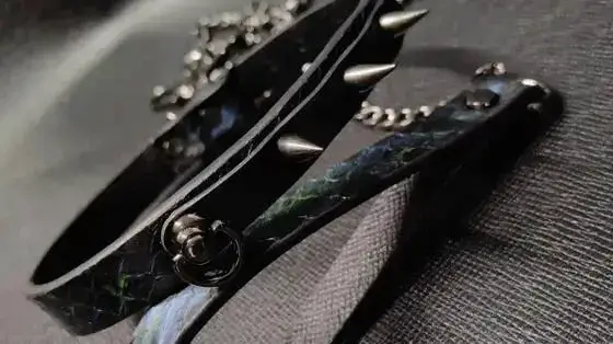 【西檬之家】字母圈小圈入门：BDSM新人必读的SSC原则与术语指南