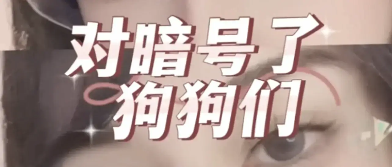 西檬之家-字母圈新人如何入圈？一份基于SSC原则的入门指南