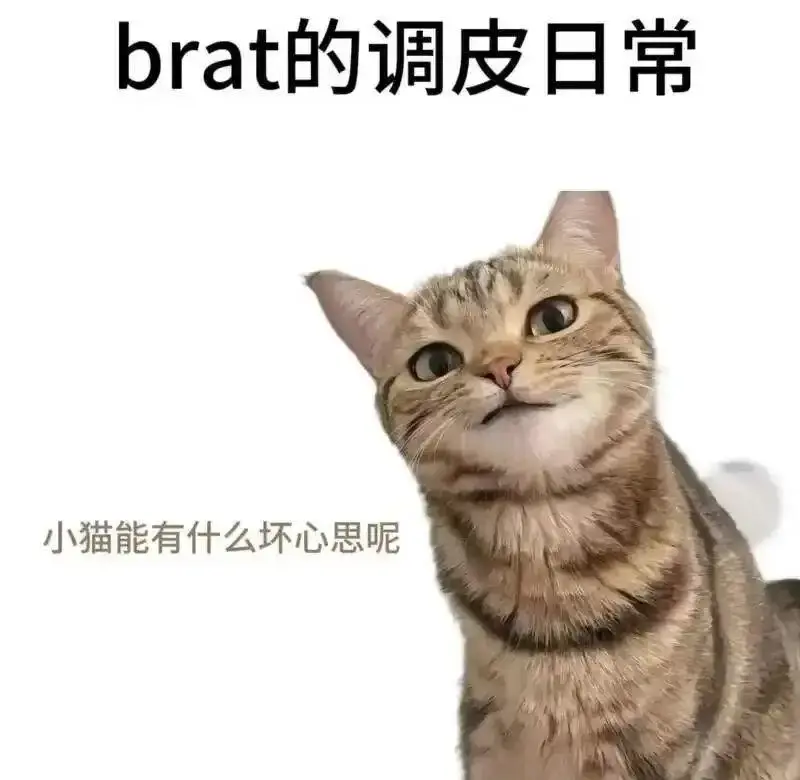 西檬之家-字母圈新人如何入圈？