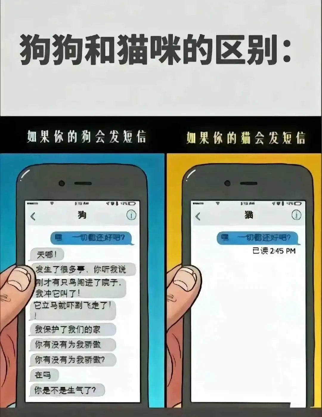 BDSM - 微信图片_20250713011414