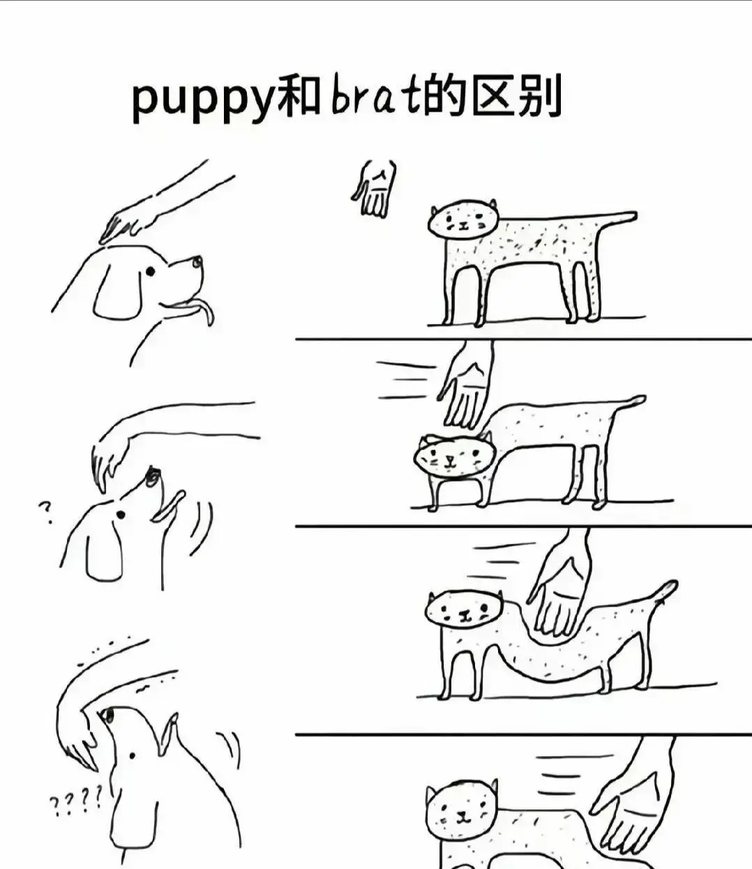 西檬之家-字母圈DOM角色详解