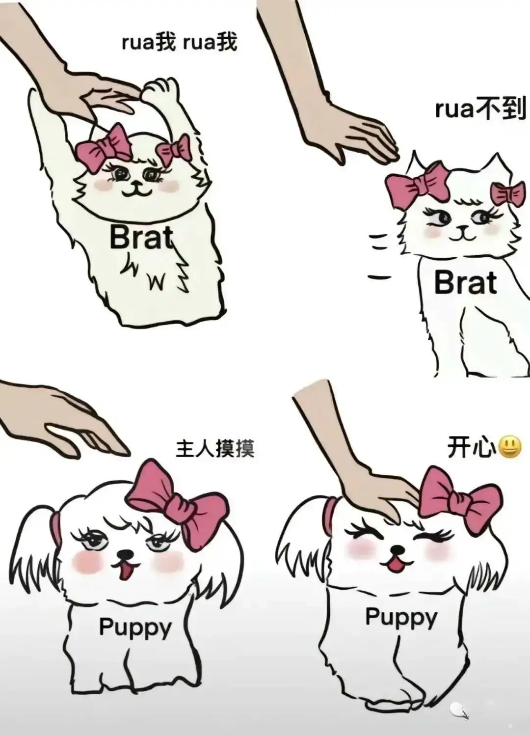 西檬之家-TK是什么？字母圈新人入门指南