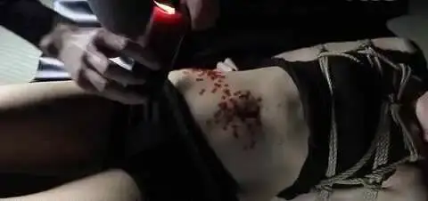 【西檬之家】PE是什么？BDSM新人必修的权力交换指南