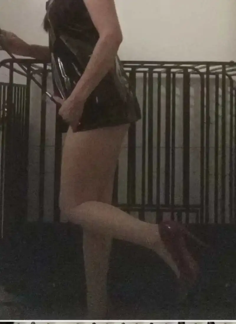 西檬之家-字母圈入门指南：理解K9是什么与BDSM基础术语