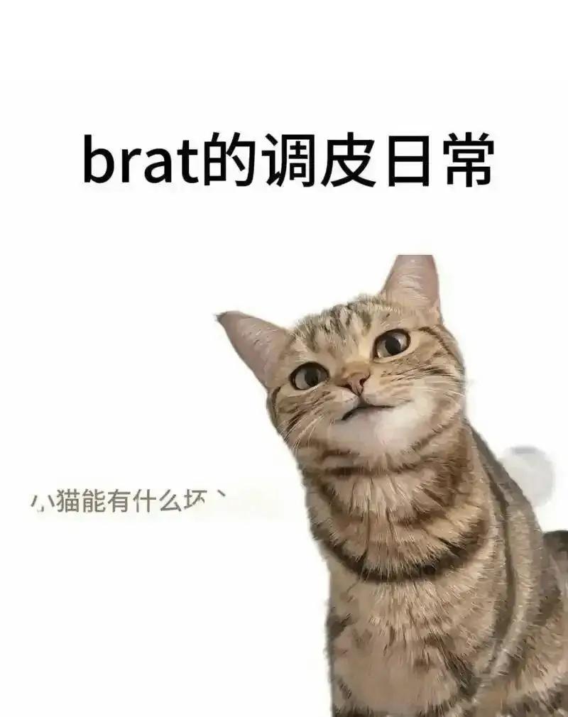 西檬之家-字母圈新人如何入圈？BDSM入门权威指南