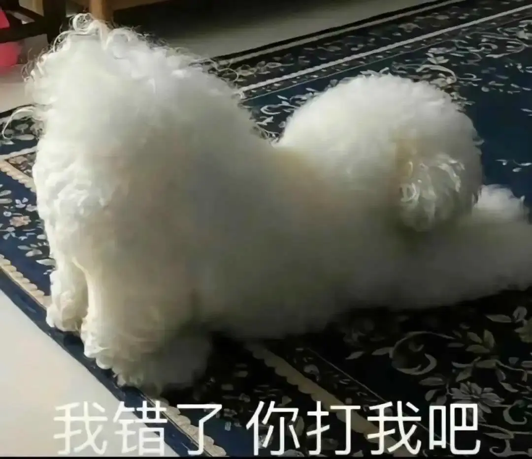 西檬之家-K9是什么？字母圈新人入圈必备知识
